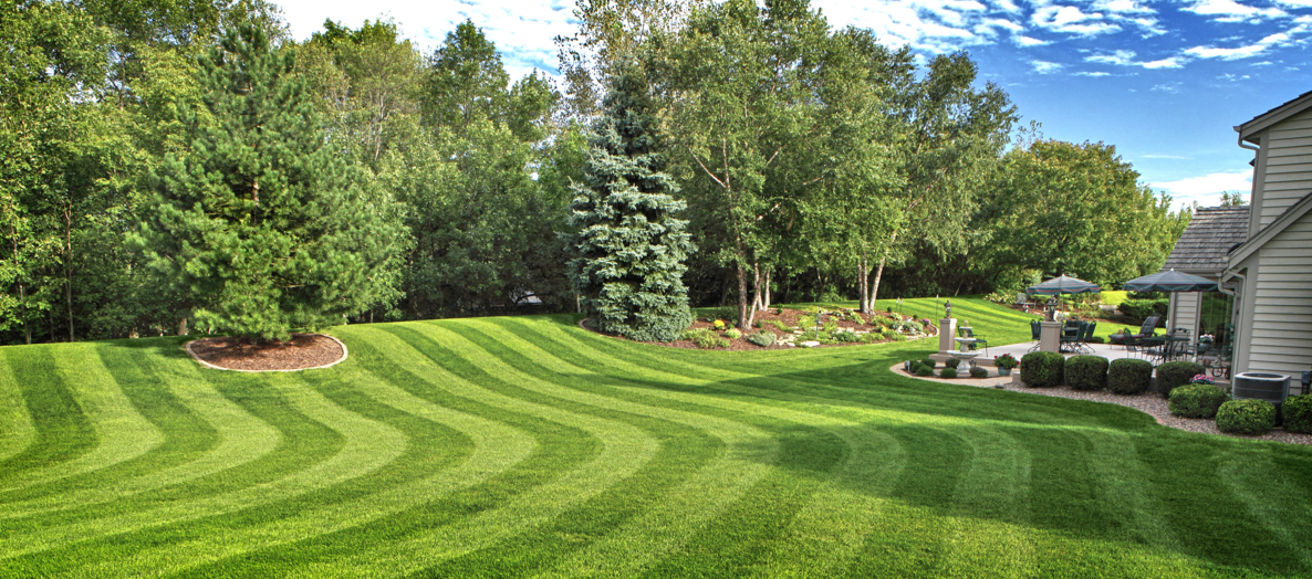 simply green lawn fertilizing delaware